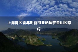 上海湾区青年创新创业论坛在金山区举行