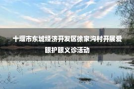 十堰市东城经济开发区徐家沟村开展爱眼护眼义诊活动