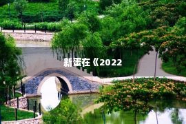 新蛋在《2022