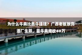 为什么牛粪比养牛赚钱？广西老板放弃酒厂生意，靠牛粪增收40万