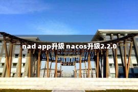 nad app升级 nacos升级2.2.0