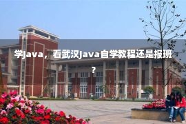 学Java，看武汉Java自学教程还是报班？