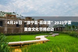 4月28日 “浪宁夏·品味道”2023宁夏美食文化节将启动