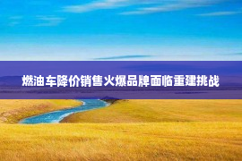 燃油车降价销售火爆品牌面临重建挑战