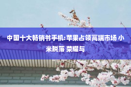 中国十大畅销书手机:苹果占领高端市场 小米脱落 荣耀与