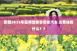 欧盟2035年起将禁售非零排汽车 这意味着什么？？