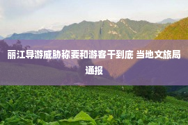 丽江导游威胁称要和游客干到底 当地文旅局通报