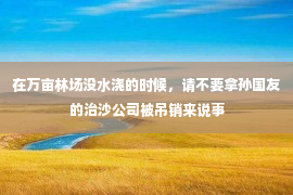 在万亩林场没水浇的时候，请不要拿孙国友的治沙公司被吊销来说事