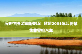 历史性协议重新登场！欧盟2035年起将禁售非零排汽车