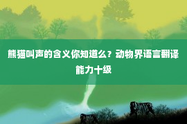 熊猫叫声的含义你知道么？动物界语言翻译能力十级