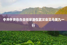 中共中央台办主任宋涛在武汉会见马英九一行