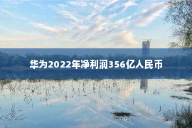 华为2022年净利润356亿人民币