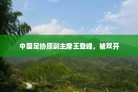 中国足协原副主席王登峰，被双开