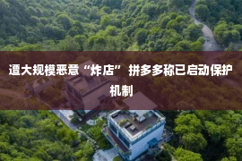 遭大规模恶意“炸店” 拼多多称已启动保护机制