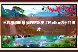 王鹤棣和田曦薇的站姐发了Meiko选手的照片