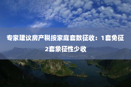 专家建议房产税按家庭套数征收：1套免征2套象征性少收