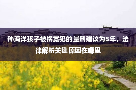 孙海洋孩子被拐案犯的量刑建议为5年，法律解析关键原因在哪里