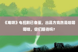 《难哄》电视剧已备案，出品方竟然是哇唧唧哇，你们期待吗？