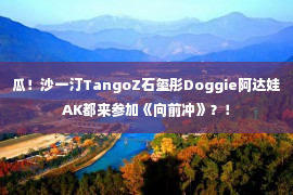 瓜！沙一汀TangoZ石玺彤Doggie阿达娃AK都来参加《向前冲》？！