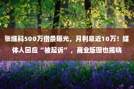 张继科500万借条曝光，月利息近10万！媒体人回应“被起诉”，商业版图也揭晓