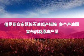 俄罗斯宣布延长石油减产措施  多个产油国宣布削减原油产量