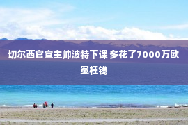 切尔西官宣主帅波特下课 多花了7000万欧冤枉钱