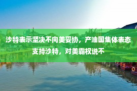 沙特表示坚决不向美妥协，产油国集体表态支持沙特，对美霸权说不