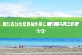 俄知名战地记者被炸身亡 因引起乌克兰政府仇恨！