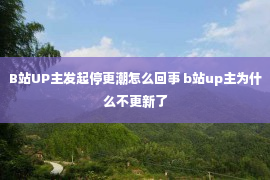 B站UP主发起停更潮怎么回事 b站up主为什么不更新了