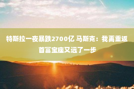 特斯拉一夜暴跌2700亿 马斯克：我离重返首富宝座又远了一步