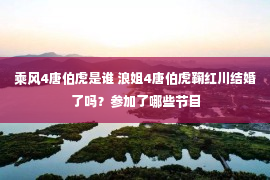 乘风4唐伯虎是谁 浪姐4唐伯虎鞠红川结婚了吗？参加了哪些节目