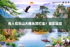 有人在乐山大佛头顶打坐？景区回应