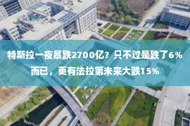 特斯拉一夜暴跌2700亿？只不过是跌了6%而已，更有法拉第未来大跌15%