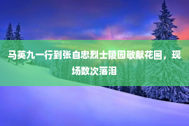 马英九一行到张自忠烈士陵园敬献花圈，现场数次落泪