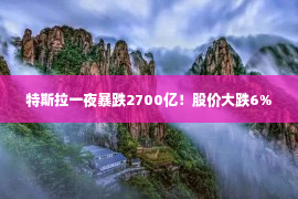 特斯拉一夜暴跌2700亿！股价大跌6%