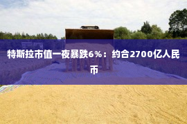 特斯拉市值一夜暴跌6%：约合2700亿人民币