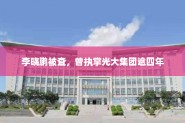 李晓鹏被查，曾执掌光大集团逾四年