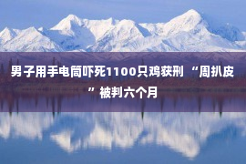 男子用手电筒吓死1100只鸡获刑 “周扒皮”被判六个月