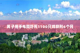 男子用手电筒吓死1100只鸡获刑6个月