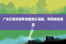 广东已经迎来甲流新流行高峰，预测持续两周