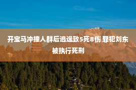 开宝马冲撞人群后逃逸致5死8伤 罪犯刘东被执行死刑