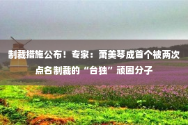 制裁措施公布！专家：萧美琴成首个被两次点名制裁的“台独”顽固分子