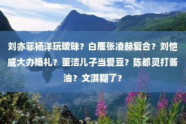 刘亦菲杨洋玩暧昧？白鹿张凌赫复合？刘恺威大办婚礼？董洁儿子当爱豆？陈都灵打酱油？文淇糊了？