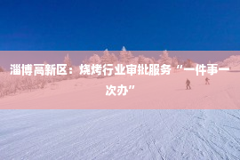 淄博高新区：烧烤行业审批服务“一件事一次办”