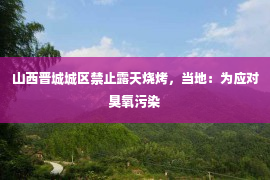 山西晋城城区禁止露天烧烤，当地：为应对臭氧污染