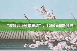 “多趟北上列车晚点”，12306最新回应