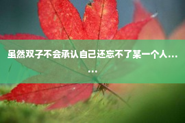 虽然双子不会承认自己还忘不了某一个人……