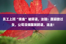 员工上班“摸鱼”被辞退，法院：属轻微过失，公司没提醒就辞退，违法！