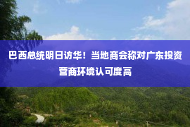 巴西总统明日访华！当地商会称对广东投资营商环境认可度高