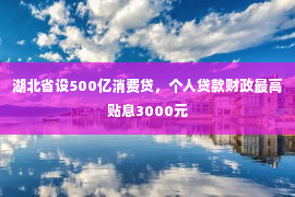 湖北省设500亿消费贷，个人贷款财政最高贴息3000元